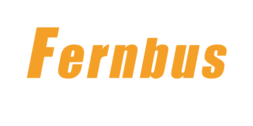 Drive with natural control of the in-game camera in Fernbus Simulator